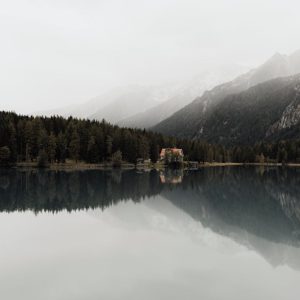 Lake Reflections - Serene lake scene reflecting dense forest and mo #14730091