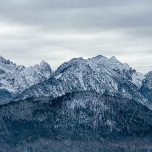 Mountain Landscapes - Scenic view of the snowcapped Bavarian Alps duri #15389290