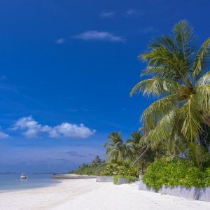 Beach Scenery - Relaxing tropical beach scene in Maldives with p #1591379