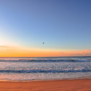 Beach Scenery - A serene sunrise over a peaceful beach with vivi #16354184