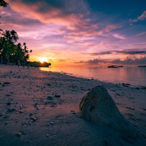 Beach Scenery - Beautiful sunset view with palm trees and rocks  #16698817