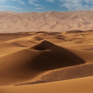 Desert Wilderness - Stunning view of endless sand dunes under a brig #16908866