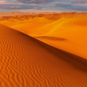 Desert Wilderness - Captivating view of golden sand dunes with textu #16908873