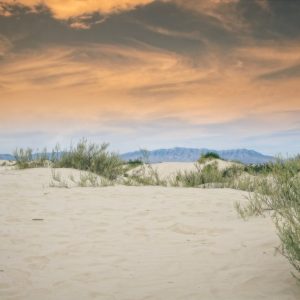 Desert Wilderness - Beautiful view of White Sands dunes under a vibr #17380113