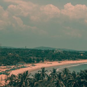 Beach Scenery - A tropical beach with palm trees, clear skies, a #17679879