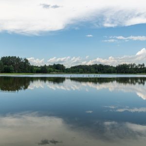 Lake Reflections - Peaceful lake scene with forest reflection, capt #17863811