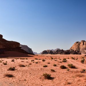 Desert Wilderness - Explore the breathtaking arid scenery and iconic #18717322