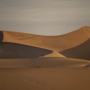 Desert Wilderness - Explore majestic sand dunes in the desert with p #28638802