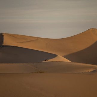 Desert Wilderness - Explore majestic sand dunes in the desert with p #28638802