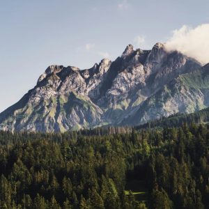 Mountain Landscapes - A stunning mountain view with lush green forest  #28829669