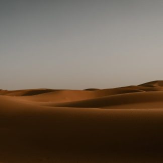 Desert Wilderness - Peaceful sand dunes stretch under a clear sky in #29107887