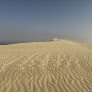 Desert Wilderness - Serene desert landscape with golden sand dunes u #29147681