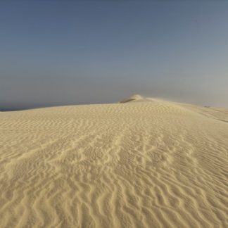 Desert Wilderness - Serene desert landscape with golden sand dunes u #29147681