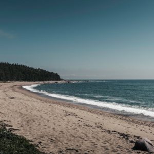 Beach Scenery - Peaceful sandy beach on Hiiumaa Island, showcasi #29624714