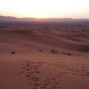 Desert Wilderness - Beautiful sunrise over the sand dunes of Merzoug #30099211