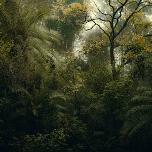 Forest Nature - A dense and vibrant jungle scene in Rishikesh, I #30201600