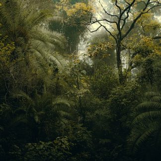Forest Nature - A dense and vibrant jungle scene in Rishikesh, I #30201600