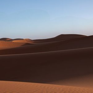 Desert Wilderness - Serene desert landscape with golden sand dunes u #31323730