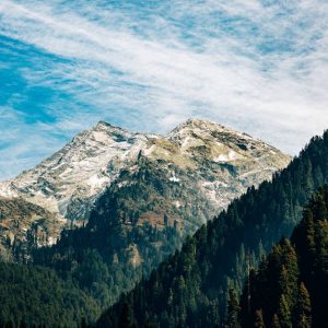 Mountain Landscapes - Snow-capped mountains with lush forests under a  #31385917
