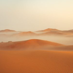 Desert Wilderness - A breathtaking view of expansive sand dunes enve #31415632