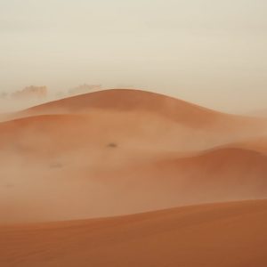 Desert Wilderness - Captivating view of misty sand dunes enveloped i #31415633