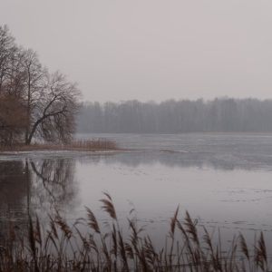 Lake Reflections - A serene and misty winter lakeside view with tra #31782917