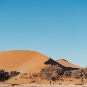Desert Wilderness - Stunning view of sand dunes and trees in Namibia #32459097