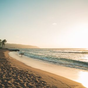 Beach Scenery - Experience the tranquil beauty of Waialua beach  #3369571