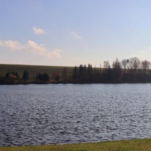 Lake Reflections - Serene lake view with trees and rolling hills in #34639701