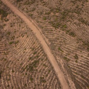 Desert Wilderness - An aerial shot of a winding dirt road through a  #34741902