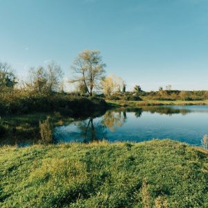 Lake Reflections - Tranquil autumn landscape with reflective lake a #34879500