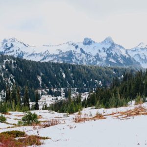 Snow Mountains - Scenic view of snowy mountains and evergreen for #35116461
