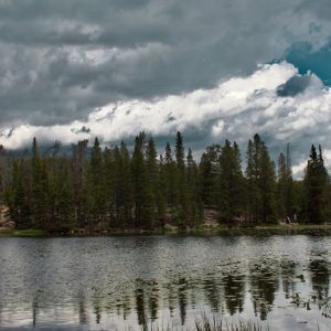 Lake Reflections - Calm lake surrounded by dense forest under drama #35174817