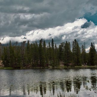 Lake Reflections - Calm lake surrounded by dense forest under drama #35174817
