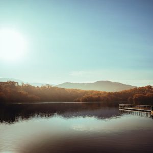 Lake Reflections - Peaceful morning at a lake in Itō, Japan, with t #35190508
