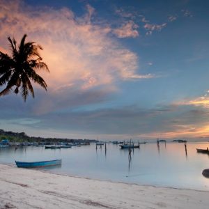 Beach Scenery - Serene tropical beach scene at sunrise with palm #35437008