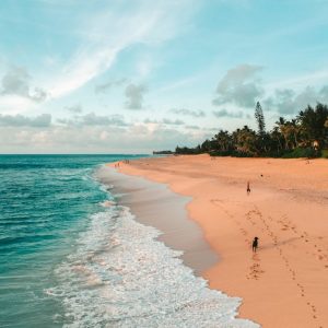 Beach Scenery - Explore a serene sandy beach with turquoise wate #4783754