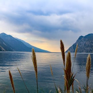 Lake Reflections - Serene landscape of a tranquil lake surrounded b #533854