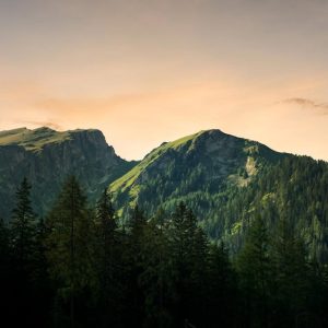 Forest Nature - Breathtaking view of mountains and forest at sun #5532420