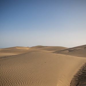 Desert Wilderness - Serene view of the vast sand dunes at Maspalomas #6920655