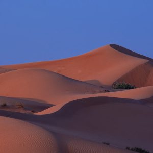 Desert Wilderness - A tranquil view of desert sand dunes under a twi #7271881