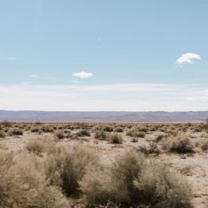 Desert Wilderness - Vast desert landscape with shrubs under a clear  #7894880