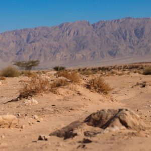 Desert Wilderness - A vast, dry desert landscape with rugged mountai #9359348